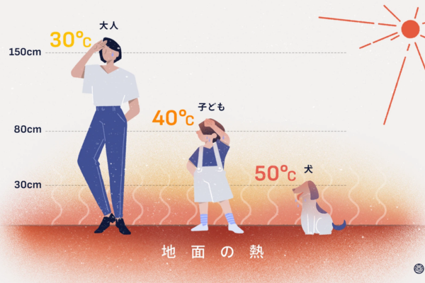 地表面温度